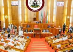 2027: Lawyer Slams Senate’s ‘Crass Impunity’ Over Early Tinubu Endorsement